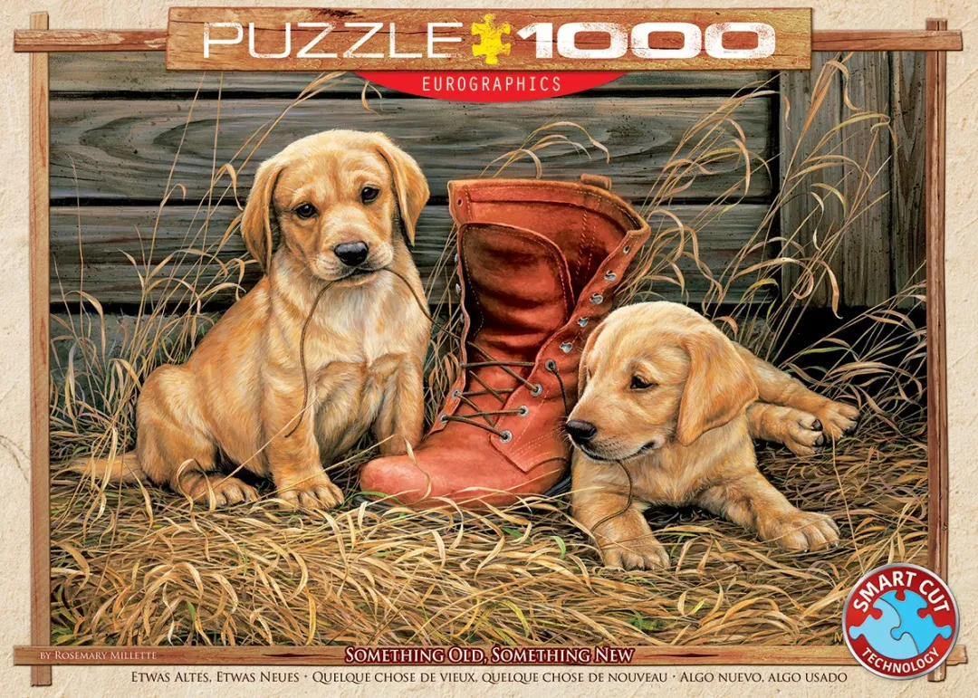 Eurographics Puzzel Something Old Something New 1000 Stuks - Meerkleurig