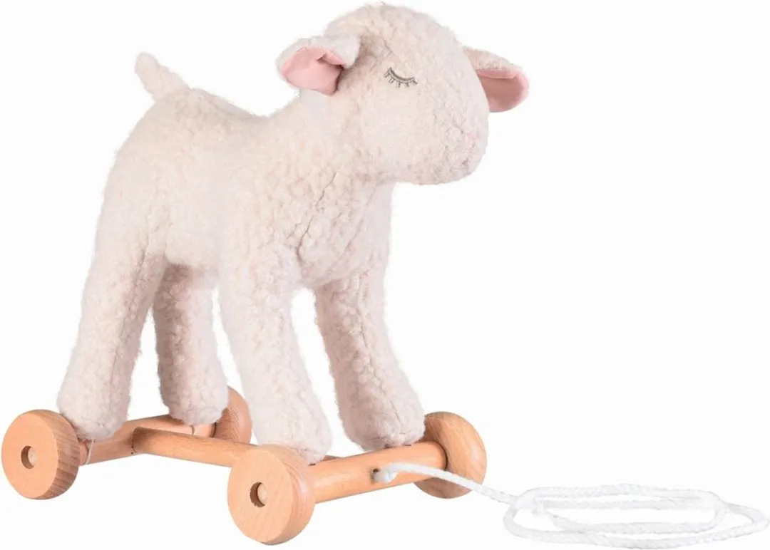 Egmont Toys Houten Trekfiguur Mary Multikleur