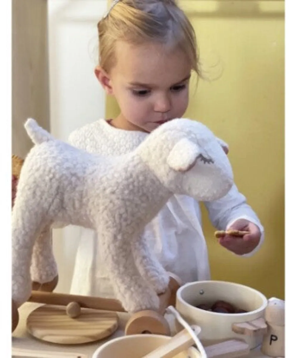 Egmont Toys Houten Trekfiguur Mary Multikleur
