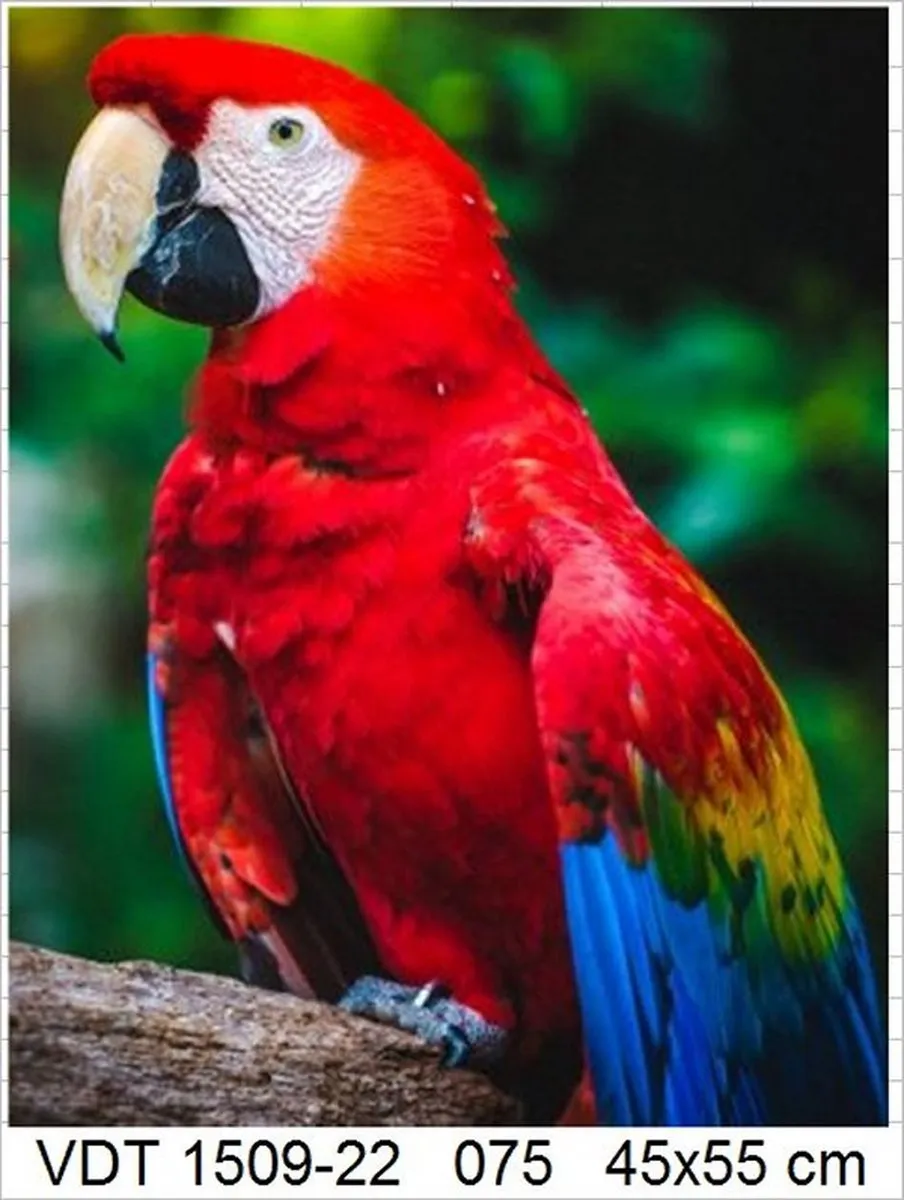 VDTOYS Diamond Painting VDTA075 Parrot 2 - 45x55cm