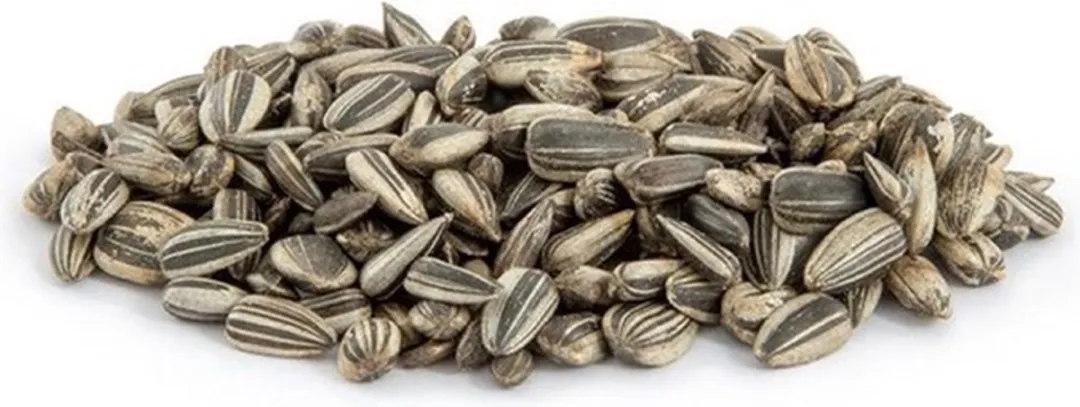 Zonnebloempitten | Tuin-Dier | Lekkernij voor kippen en (buiten)vogels | In handige bewaaremmer | 1 kilogram