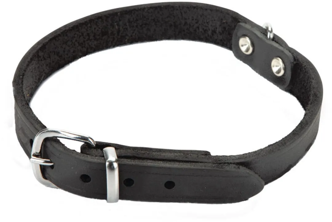 Beeztees Halsband Hond Leer - Zwart 35,5-41,5cm x 18mm