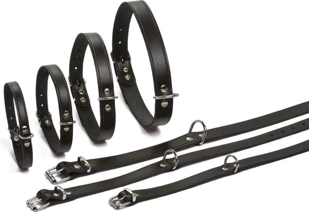 Beeztees Halsband Hond Leer