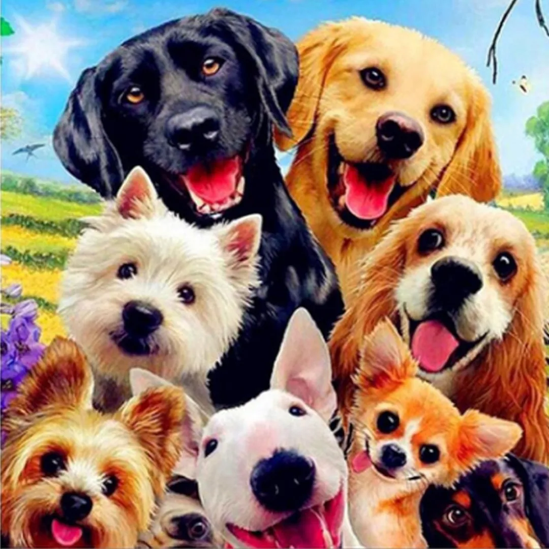 VDTOYS Diamond Painting VDTV040 Honden Family