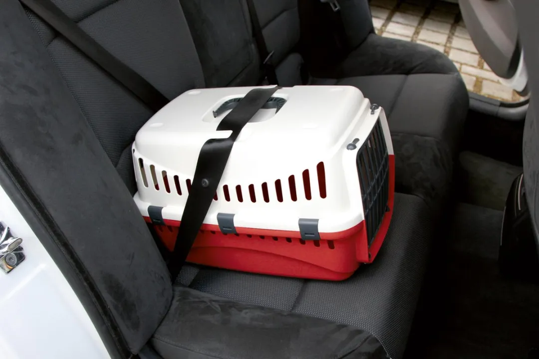 Kerbl Transportbox Expedion - Wit/Rood