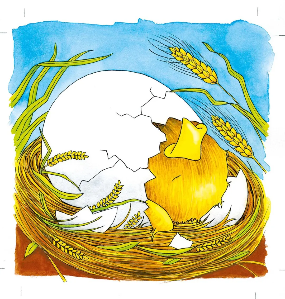 Goki Puzzle Chicken 44 Stuks - Multicolor