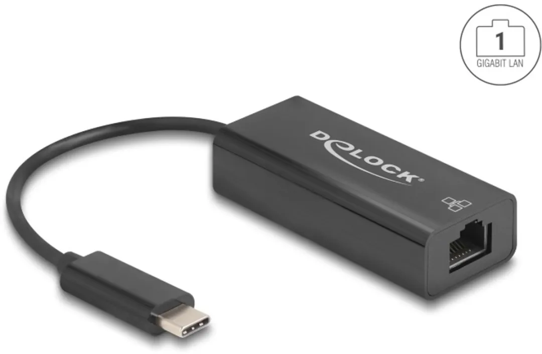 Delock 64306 USB-C Ethernet Adapter 100Mbps - Zwart