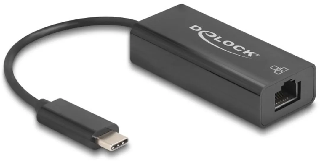 Delock 64306 USB-C Ethernet Adapter 100Mbps