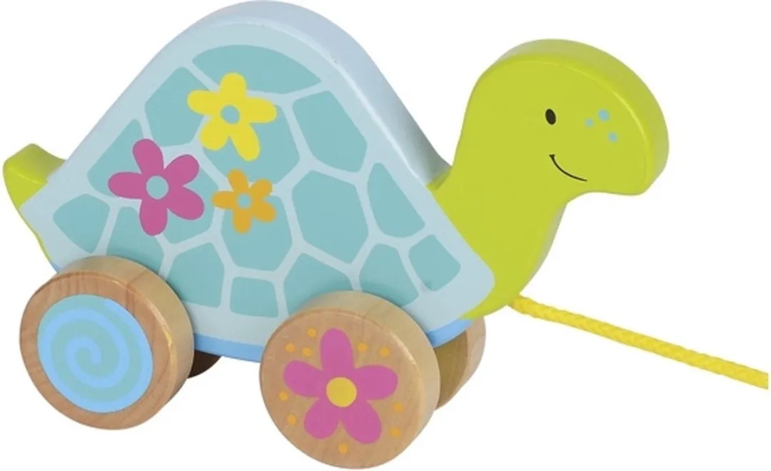 Goki Trekdier Schildpad