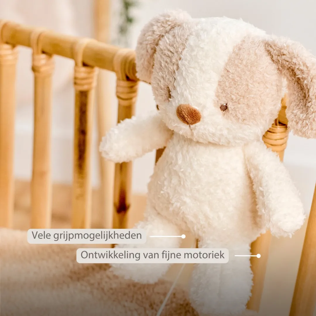 Nattou Teddy Muziekknuffel Hond 25cm - Wit & Beige