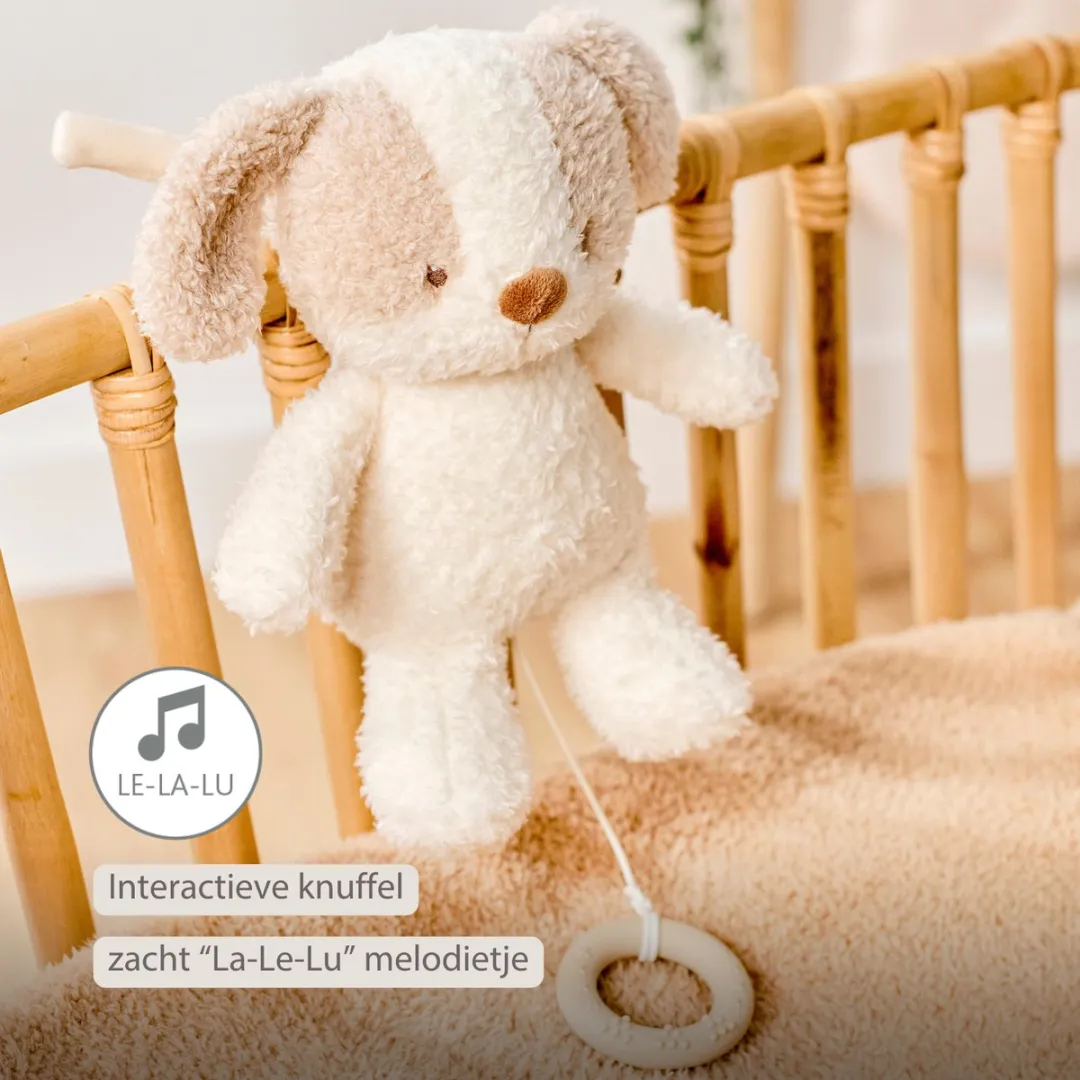 Nattou Teddy Muziekknuffel Hond 25cm - Wit & Beige