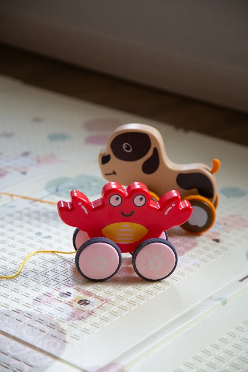 Eco Toys Animal Crab Trekfiguur - Rood