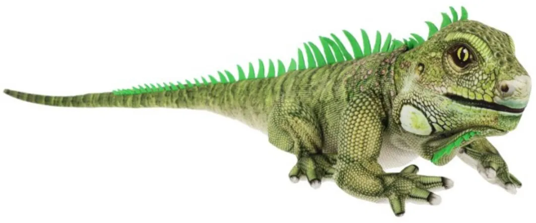 Keel Toys XL Leguaan 65cm - Groen