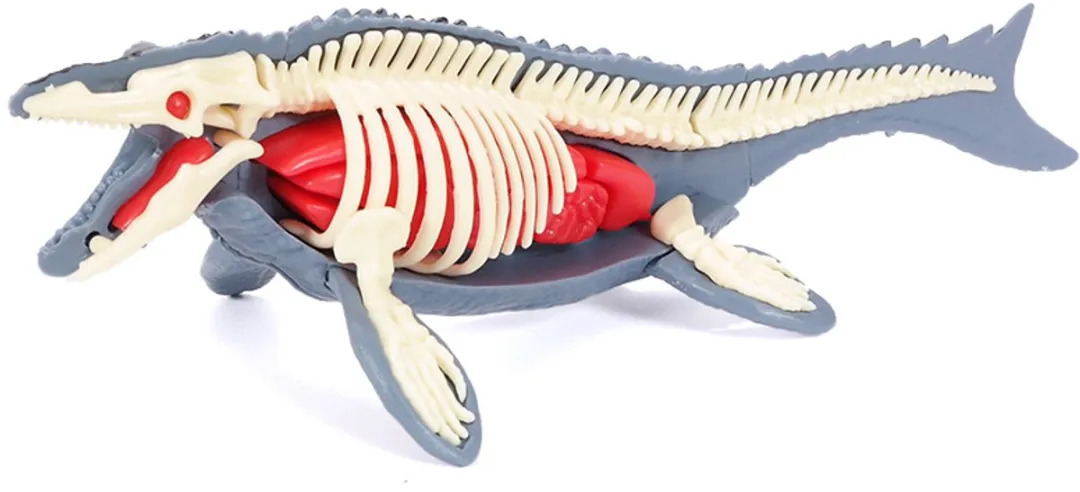 PIA Soft Toys Dino 3D Anatomie Mosasaurus - Rood/Wit/Grijs
