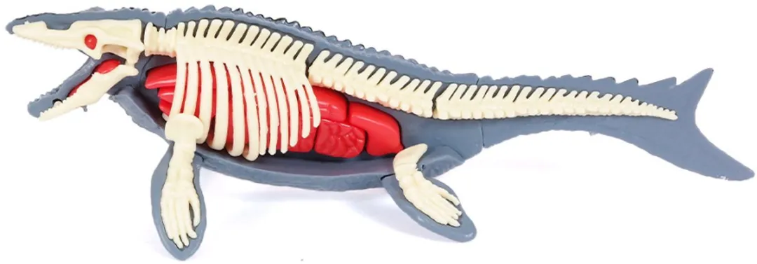 PIA Soft Toys Dino 3D Anatomie Mosasaurus - Rood/Wit/Grijs