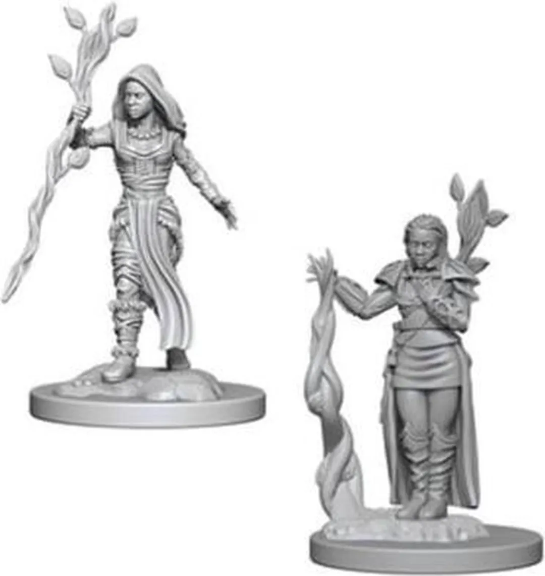 Wizkids D&D Miniatures Human Female Druid