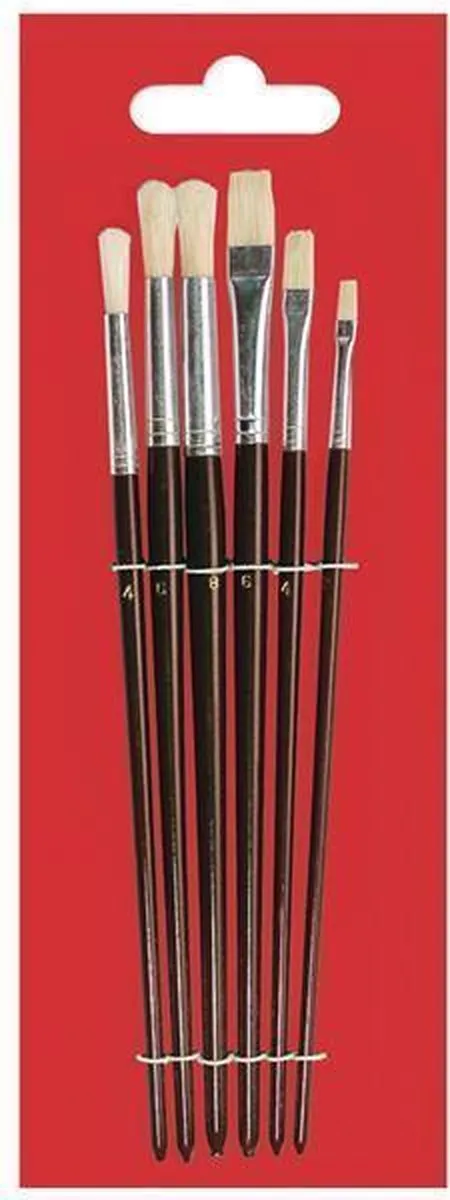 Rayher Hobby Penselen Set - 6 Stuks Varkenshaar