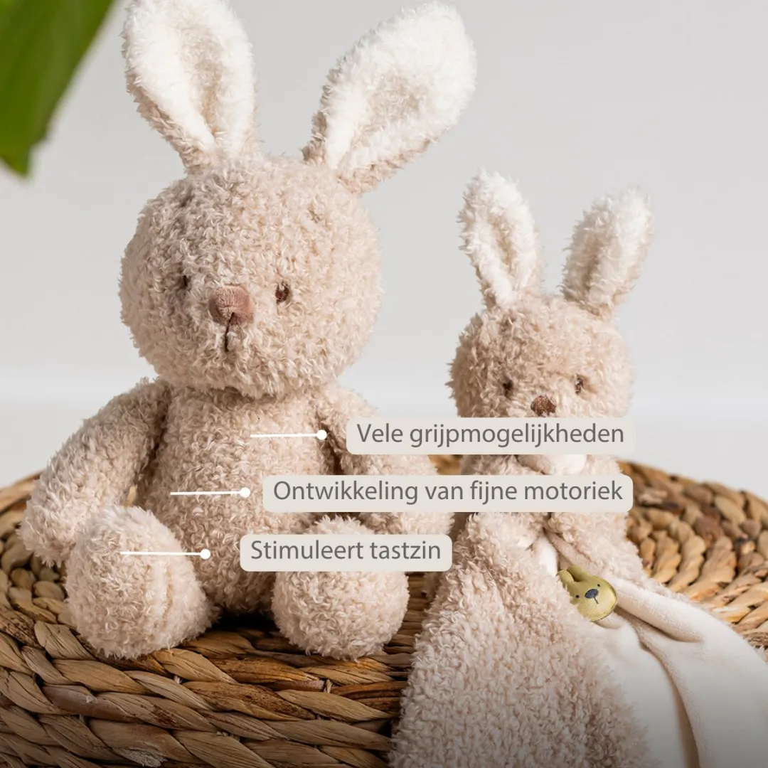 Nattou Teddy Knuffel Konijn 25cm - Beige