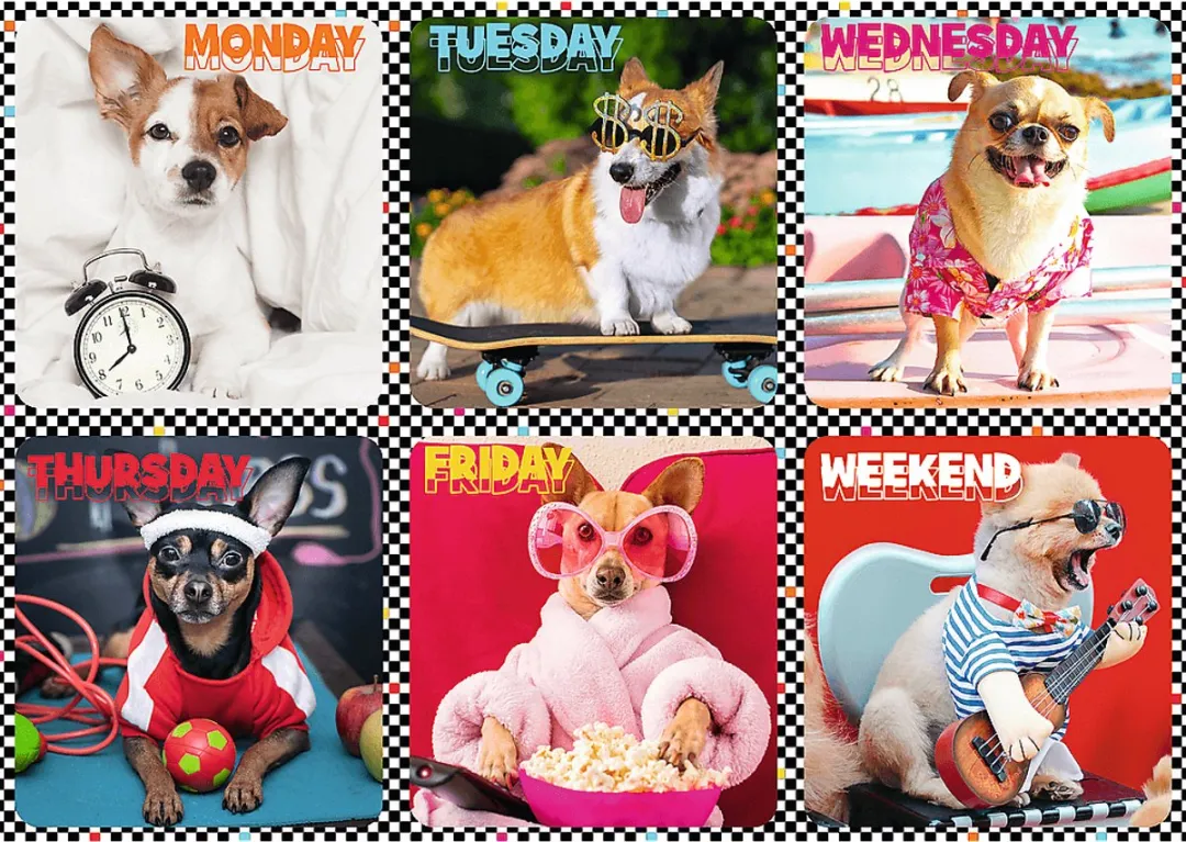 Trefl Happy Dogs Legpuzzel 200 Stuks - Multicolor