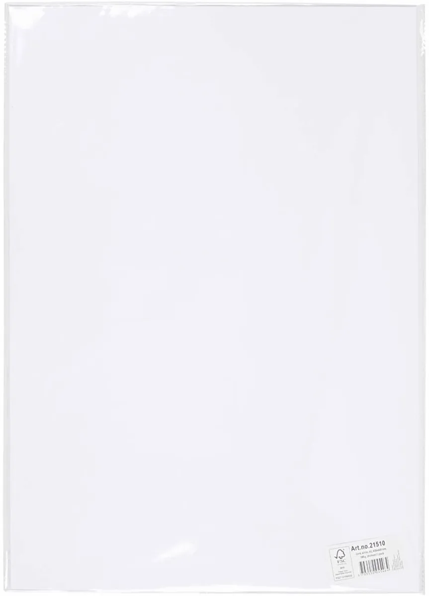 Creativ Company Gekleurd Karton A2 - 10 Vel Wit
