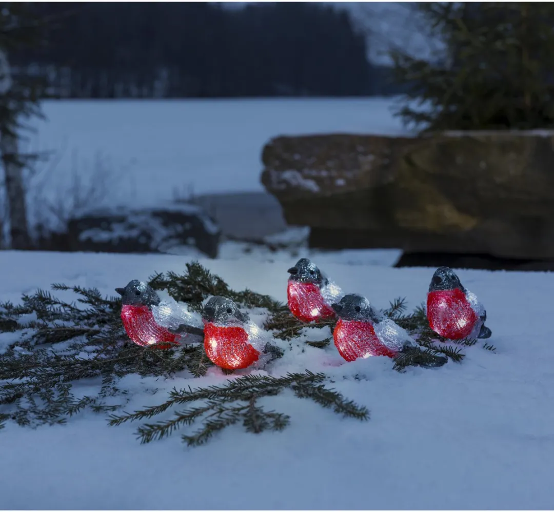 Konstsmide Goudvinken Lichtsnoer - 5 Stuks - Koel wit