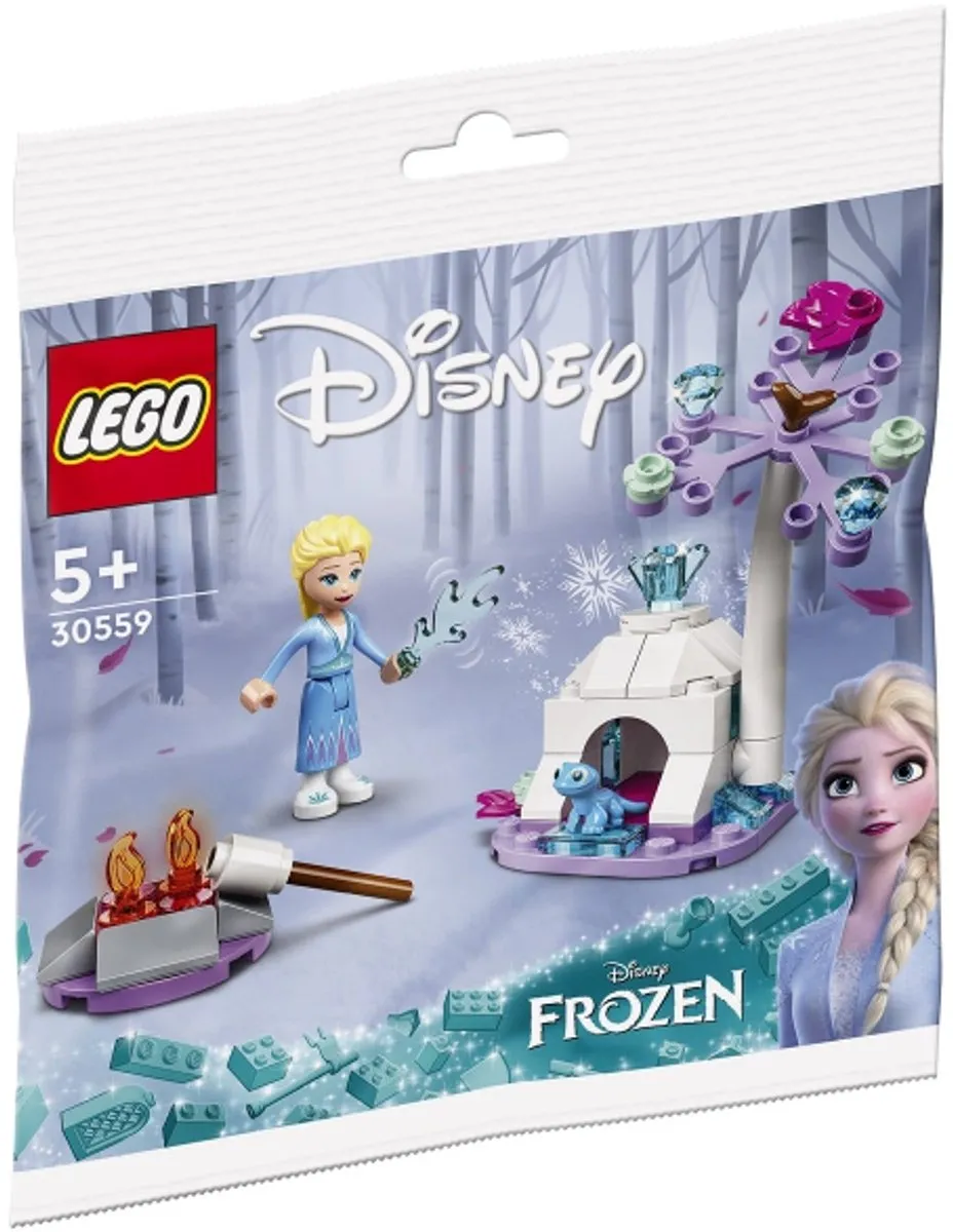 LEGO Disney Frozen 30559 Elsa en Bruni's Boskamp - 58 Stukken