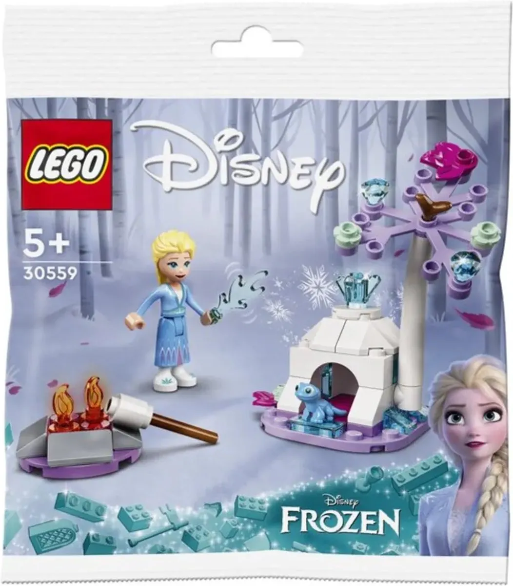 LEGO Disney Frozen 30559 Elsa en Bruni's Boskamp - 58 Stukken