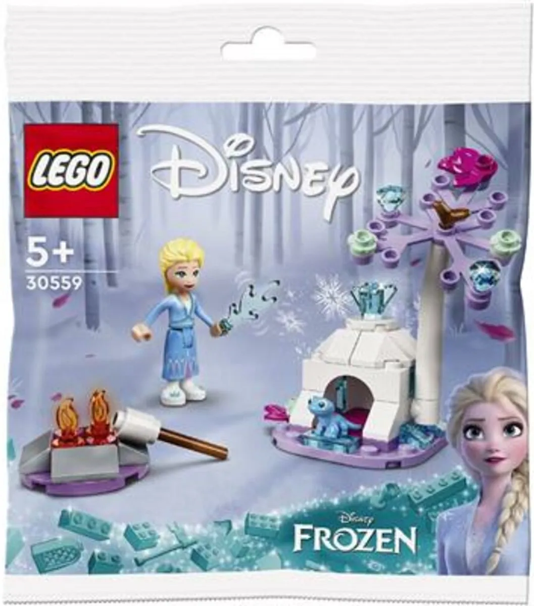 LEGO Disney Frozen 30559 Elsa en Bruni's Boskamp - 58 Stukken