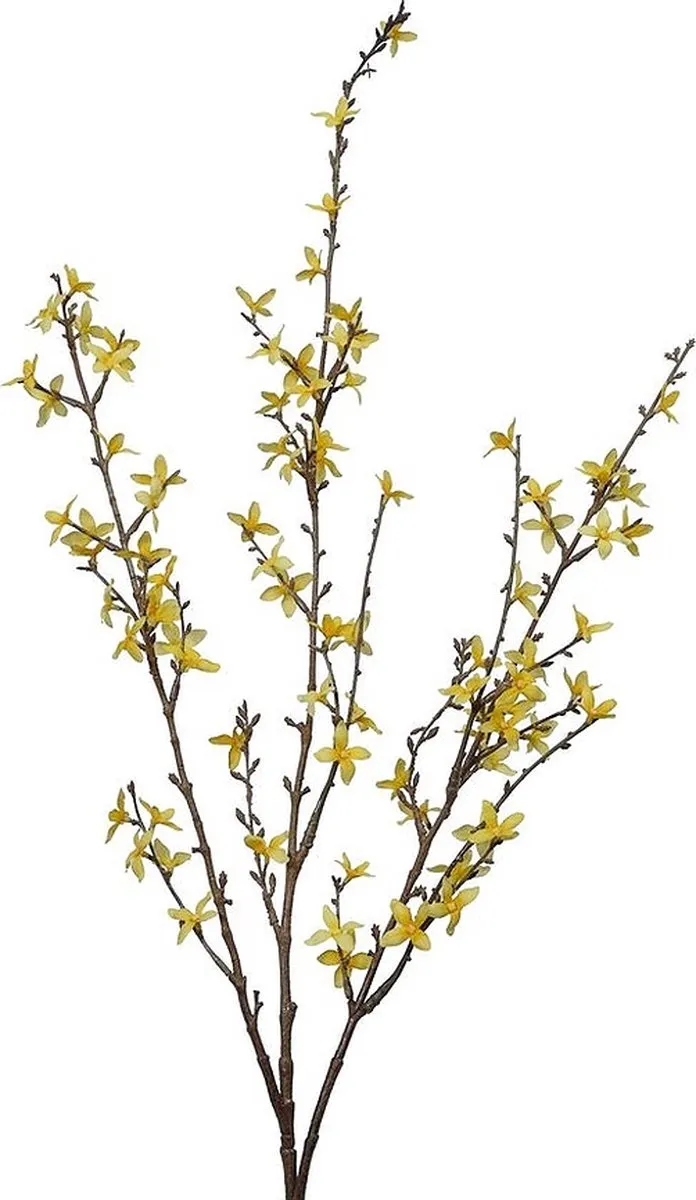Countryfield Forsythia Kunstbloem - Multicolor