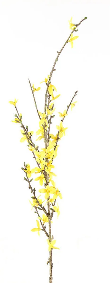 Countryfield Forsythia Kunstbloem - Multicolor
