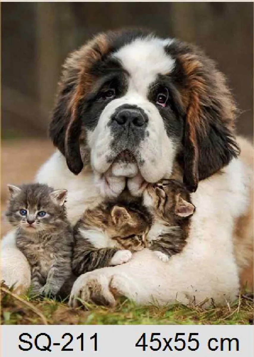 VDTOYS Diamond Painting VDT213 St Bernard - 45x55cm