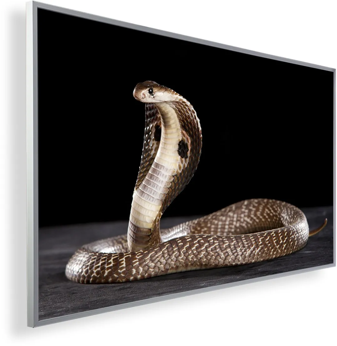 Könighaus Infrarood Verwarmingspaneel Cobra 84 450W