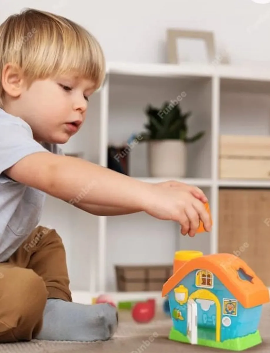 Playing Kids Mijn Eerste Huis Educatief Speelgoed - Vormen en Kleuren - Multi
