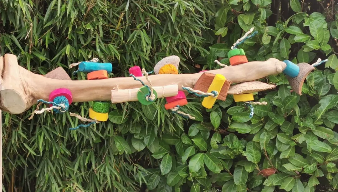 SINGLE PERCH WITH TOY - L - Java zitstok voor grote papegaaien