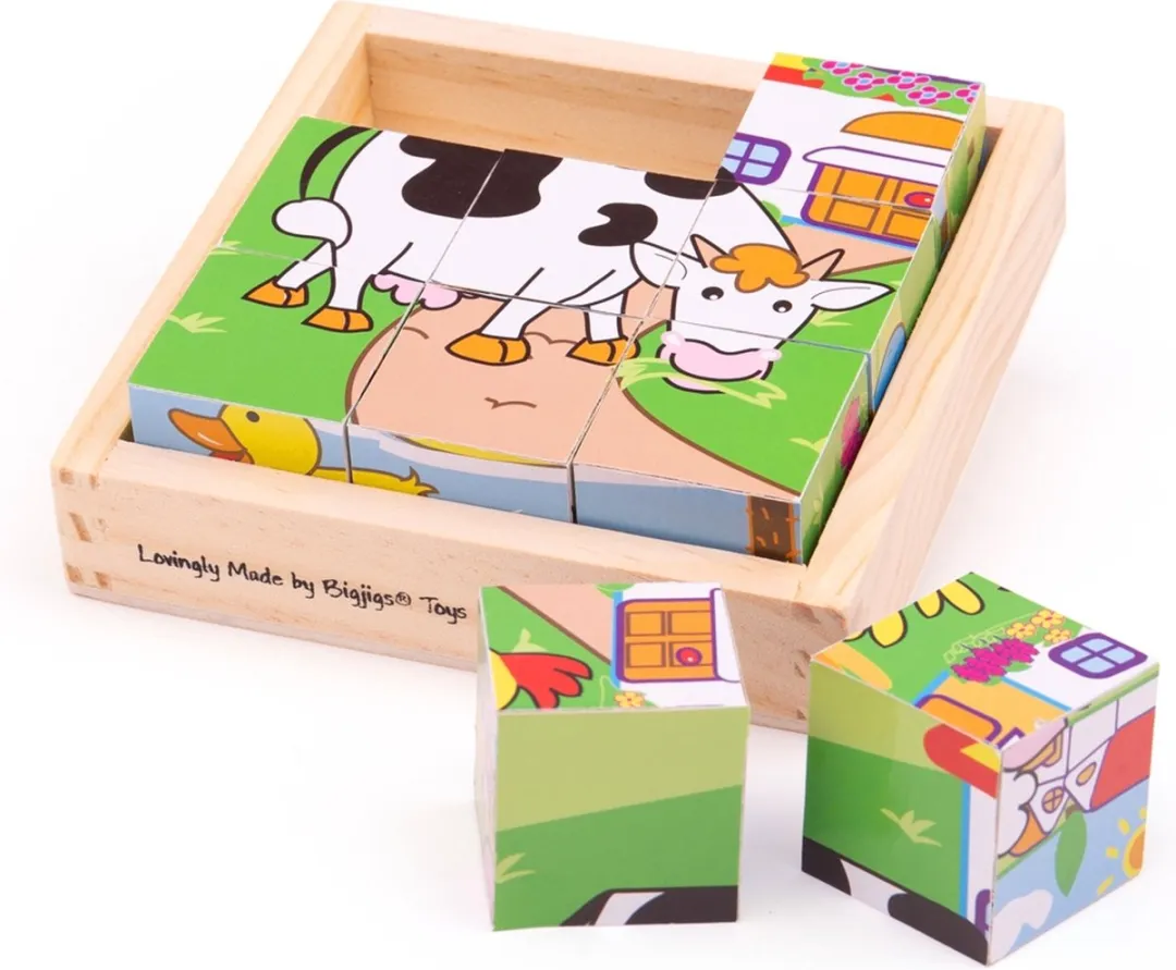 BIGJIGS Boerderij Blokpuzzel Multicolor - 9 Stukjes