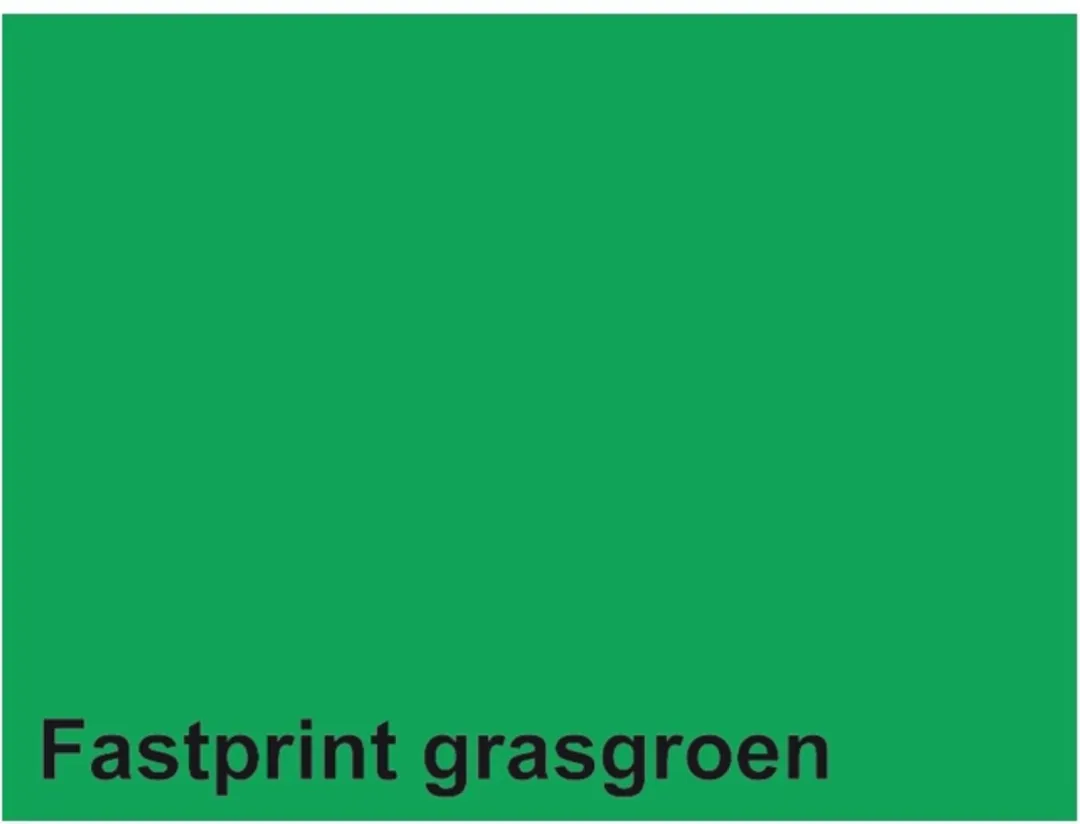 Quantore Kopieerpapier A4 160gr Grasgroen - 50 Vel