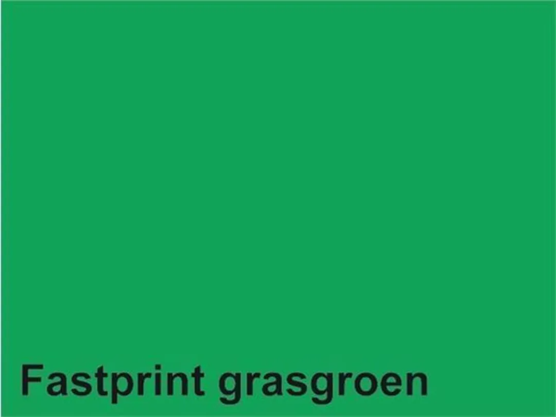 Quantore Kopieerpapier A4 160gr Grasgroen - 50 Vel