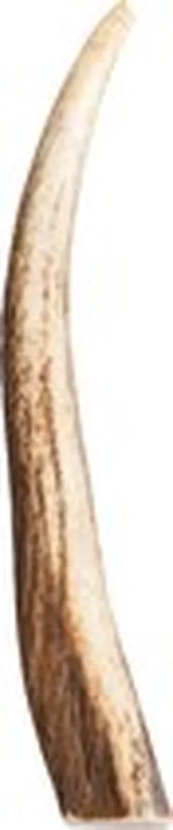 Topdiervoeding Hertengewei Kauwbot Maat S 100-130g