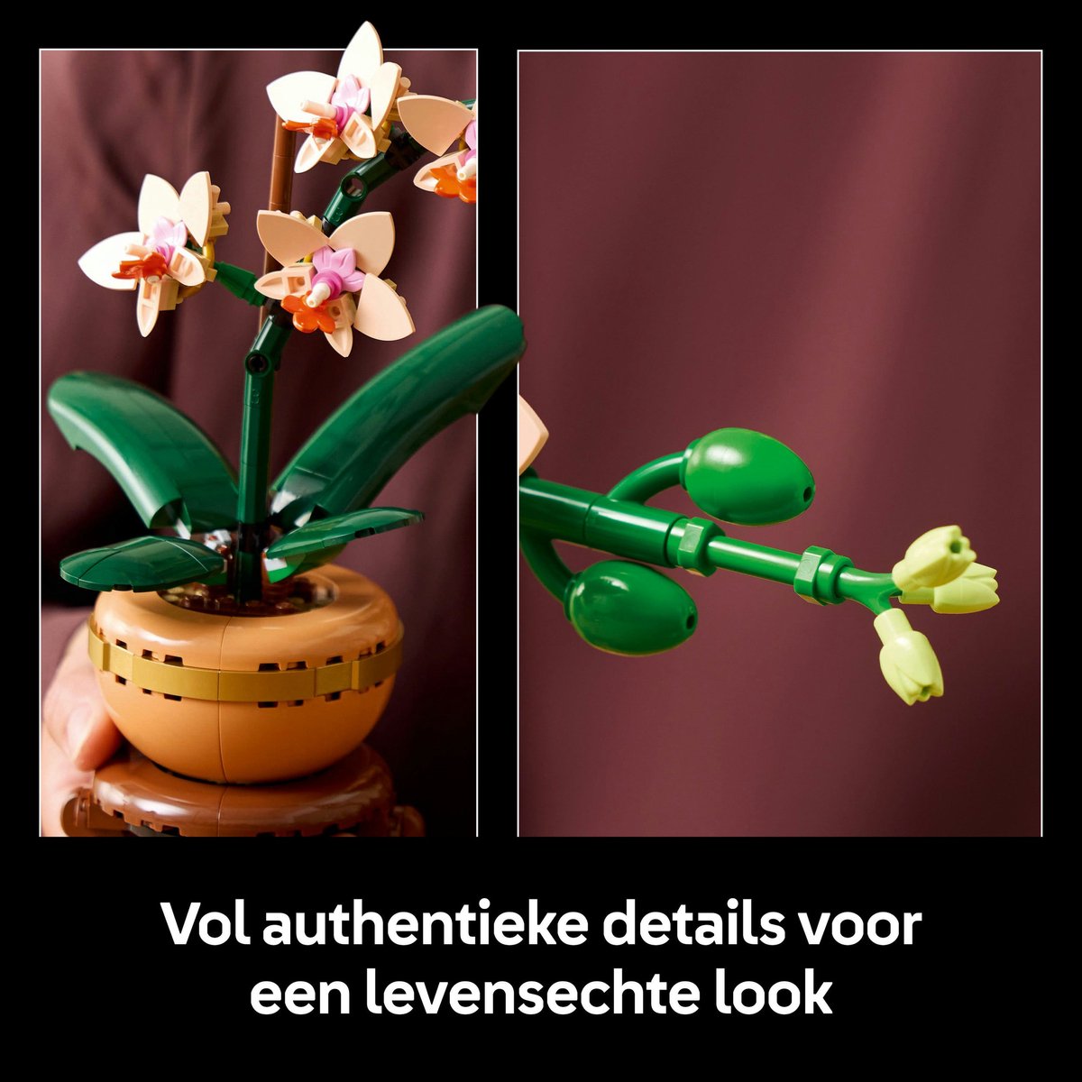 LEGO Botanicals Mini orchidee - 10343