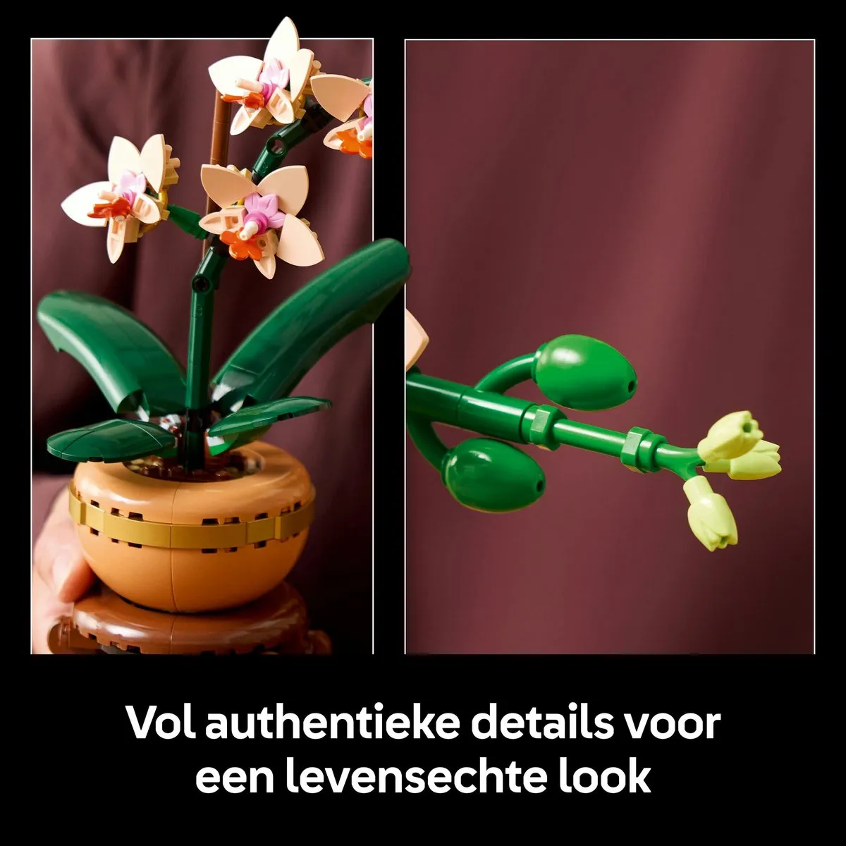 LEGO Botanicals Mini Orchidee 10343 - 274 Stukken