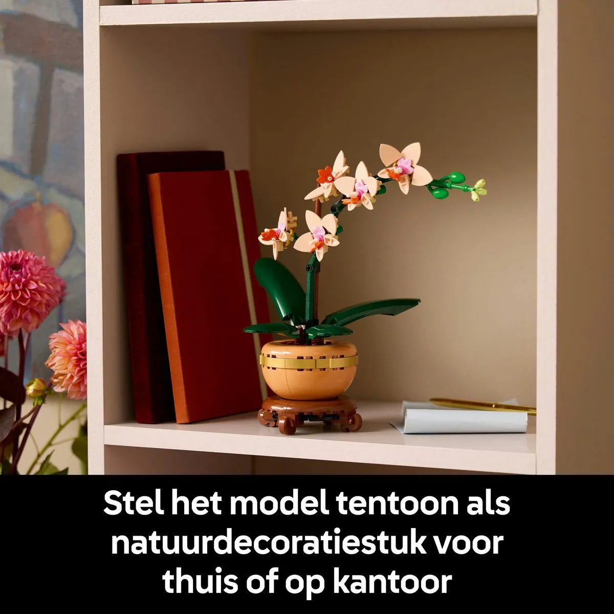 LEGO Botanicals Mini Orchidee 10343 - 274 Stukken - afbeelding 6 van 6