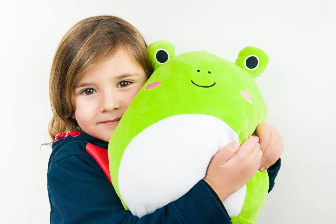 RyC Toys Squishy Kikker 30cm - Zacht Pluche Speelgoed