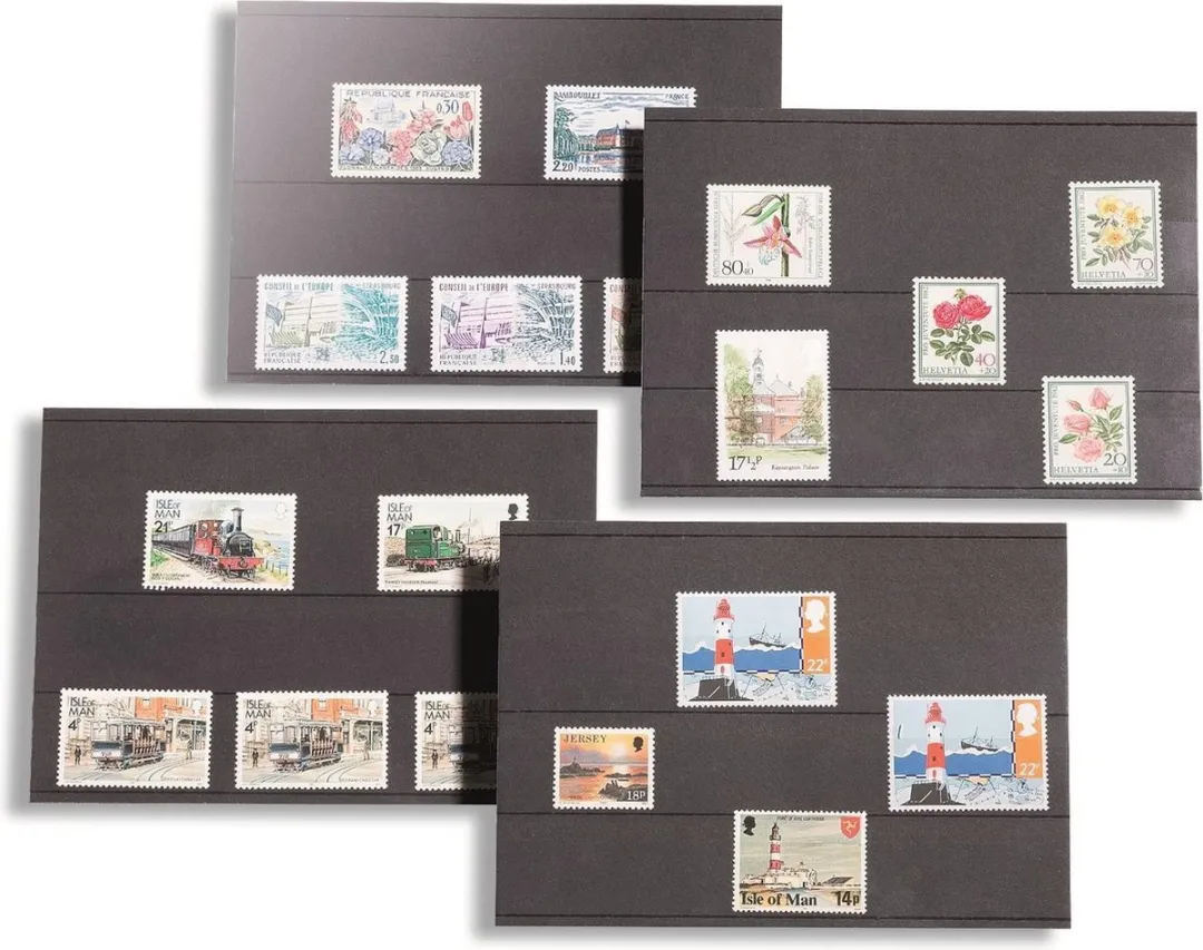 Leuchtturm Kartonnen Stokkaartjes 100 Stuks - 3 Vakken - Zwart