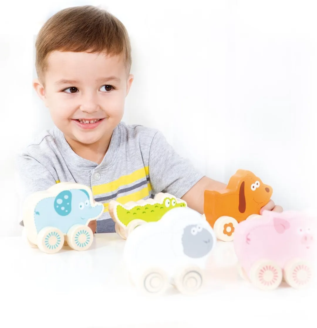 New Classic Toys Educatief Spel 11820 - Groen/Blauw