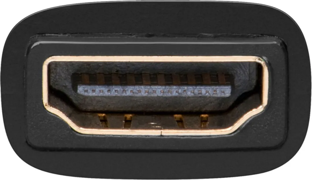 Goobay HDMI naar DVI-D Adapter 19pin - 24+1 M