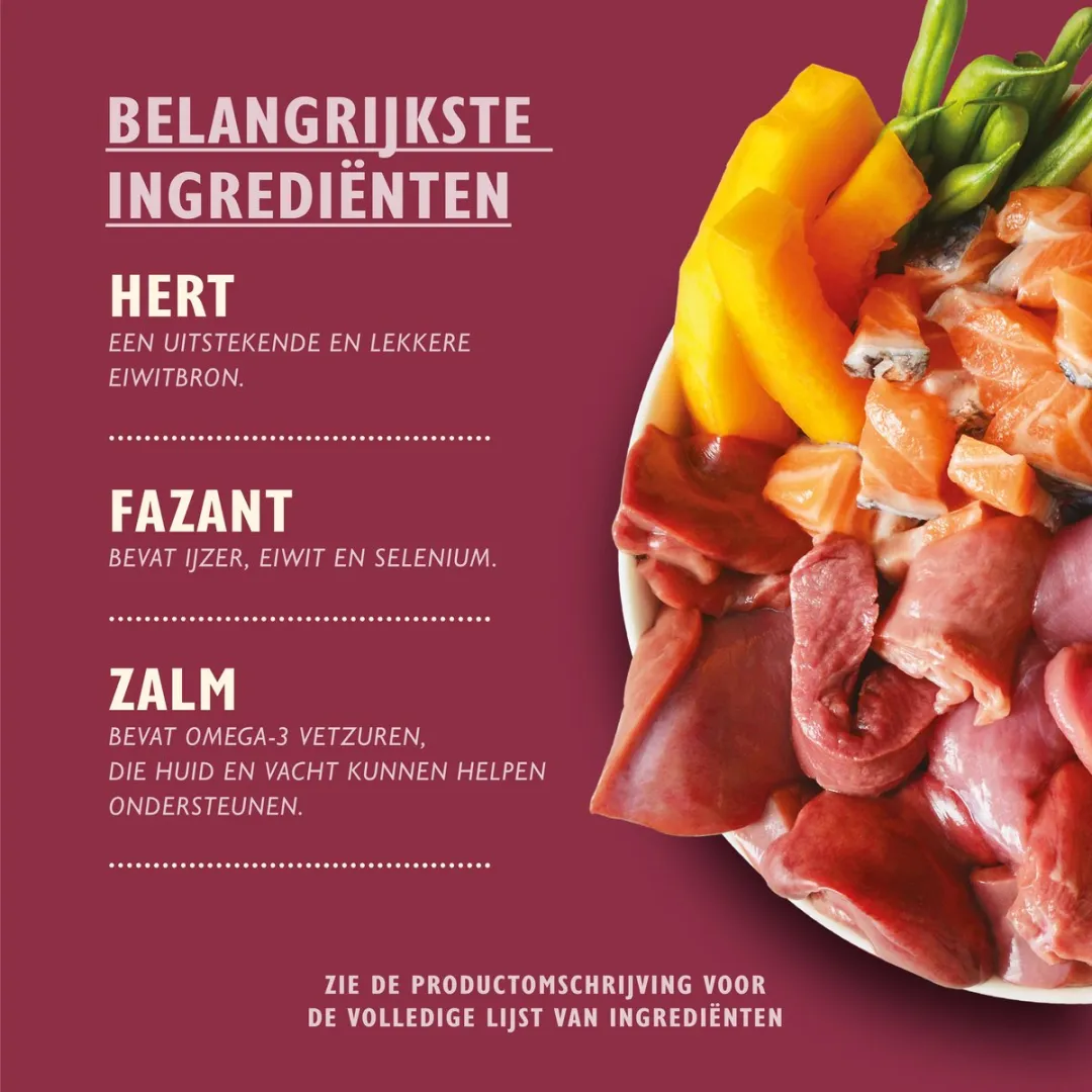 Lily's Kitchen Wild Campfire Stoofpotje Hondenvoer 6x400g