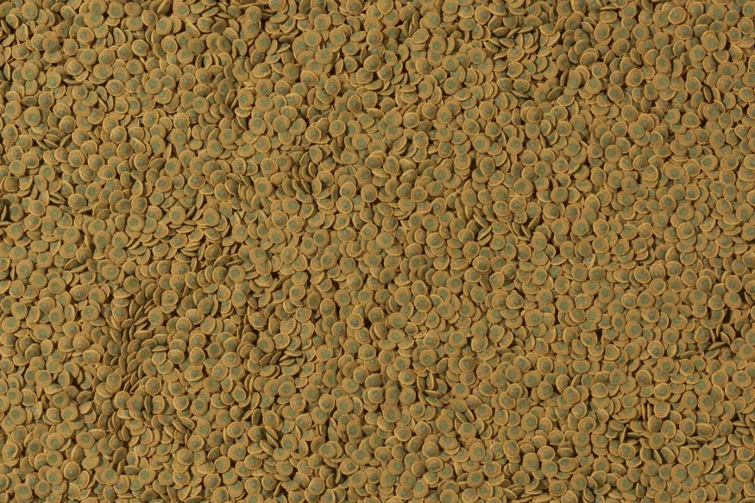 Tetra Pleco Wafer Vissenvoer 100ml