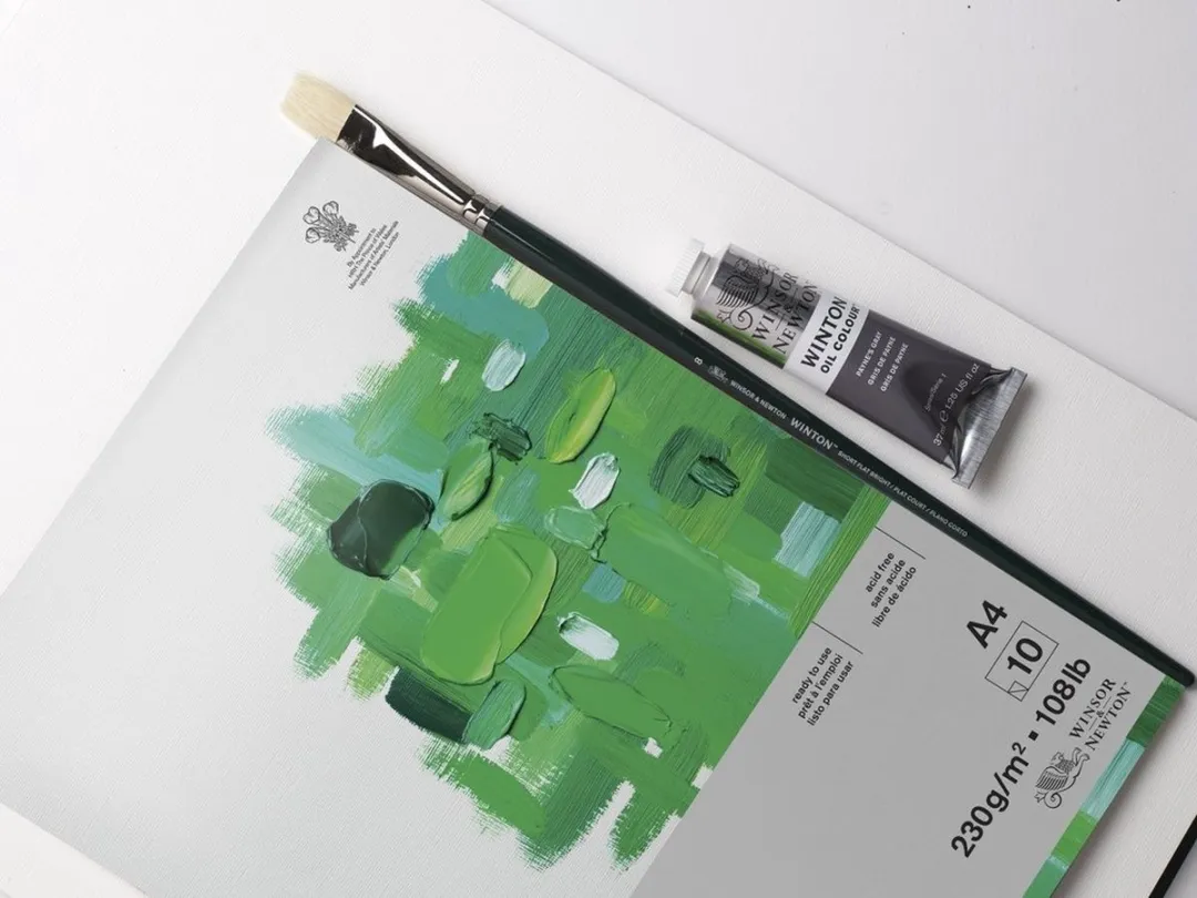 Winsor & Newton Olieverfpapier 230g A4 - 10 Vel - Wit