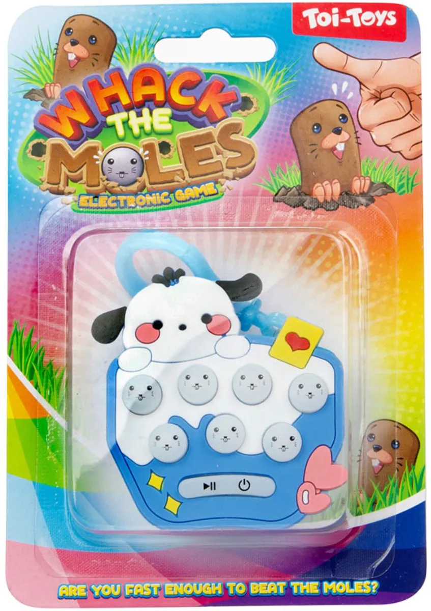 Toi-Toys Mollen Vangen Geheugenspel