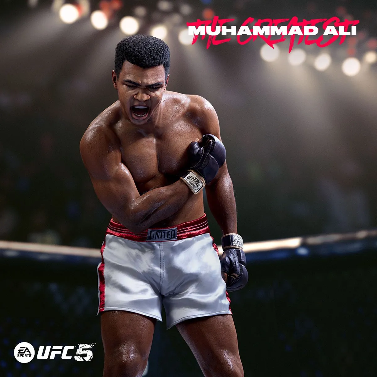 EA Sports UFC 5 - PS5